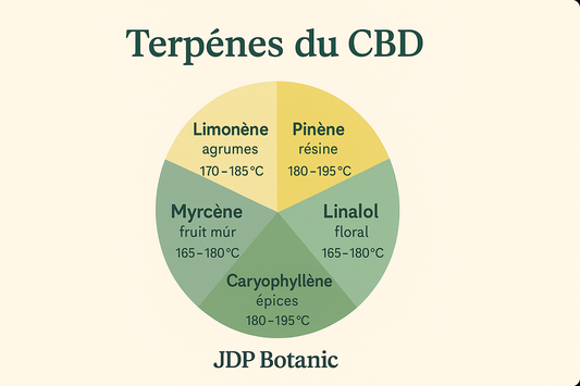Terpènes : profils aromatiques et bonnes pratiques de chauffe