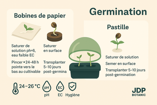 Germination du chanvre : méthode pro, hygiène et constance